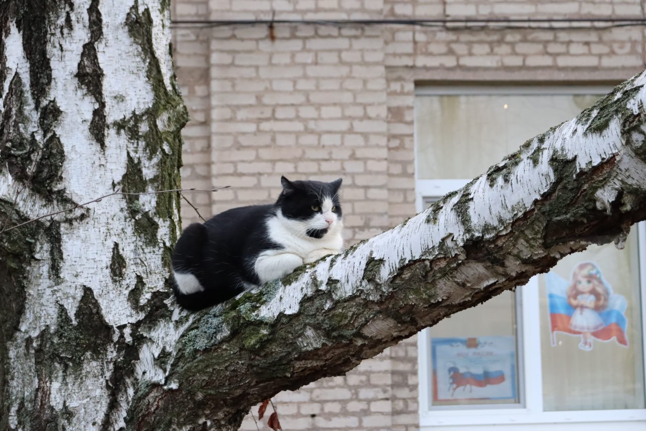 Доброе утро. А вы знали, что сегодня