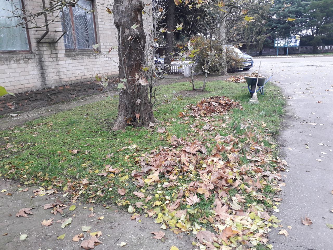 Сезонные работы в селе Ефремовка