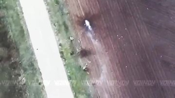 Из Гуляйполя сбежит не каждый