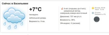 Сегодня, 19 ноября 2025 года в Васильевке пасмурно, небольшой дождь