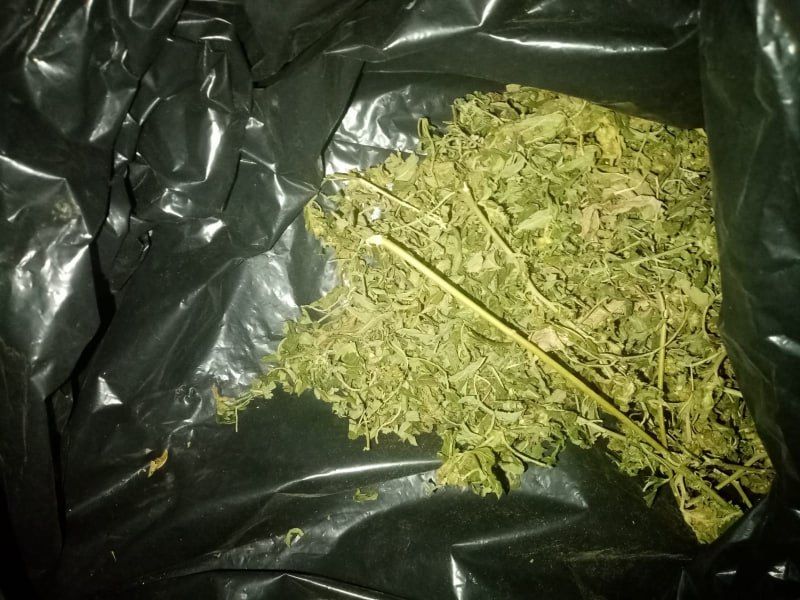 В селе Диброво сотрудники полиции задержали подозреваемого в незаконном хранении наркотических средств