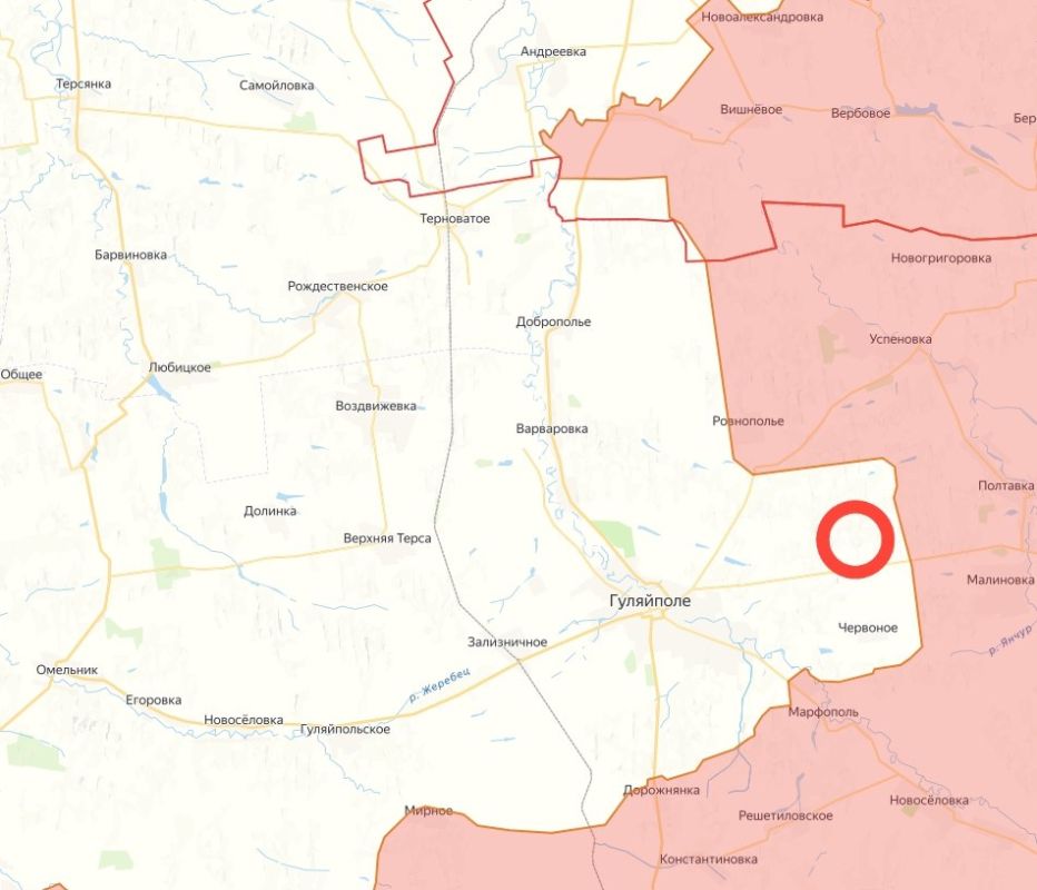 Российские военные освободили населенный пункт Веселое около Гуляйполя в Запорожской области, сообщает Минобороны РФ