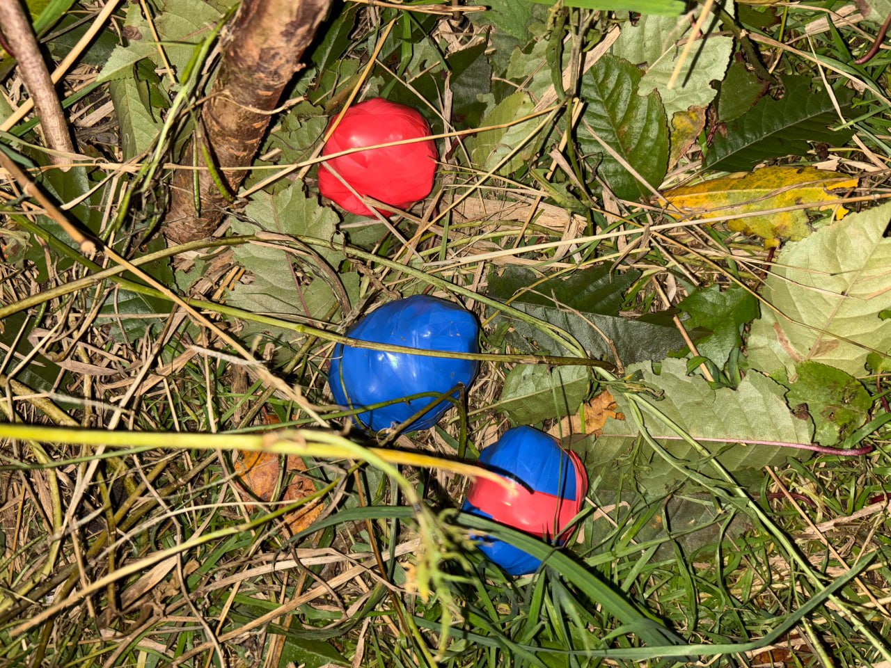 В Бердянске сотрудники полиции изъяли запрещенные вещества