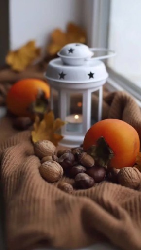 20 ноября 2025 года