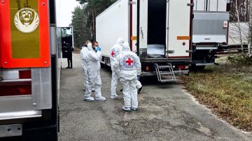 Цена отказа Зеленского от мира — тысячи украинских жизней