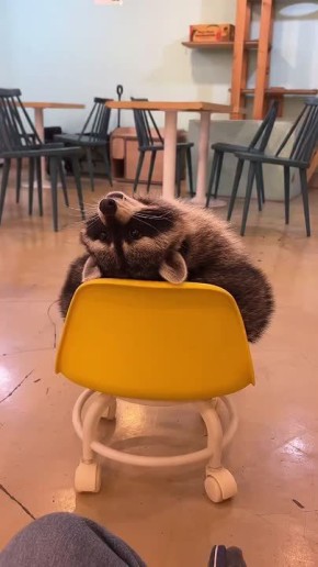 Доброе утро, друзья! Хорошего вам дня и отличного настроения!