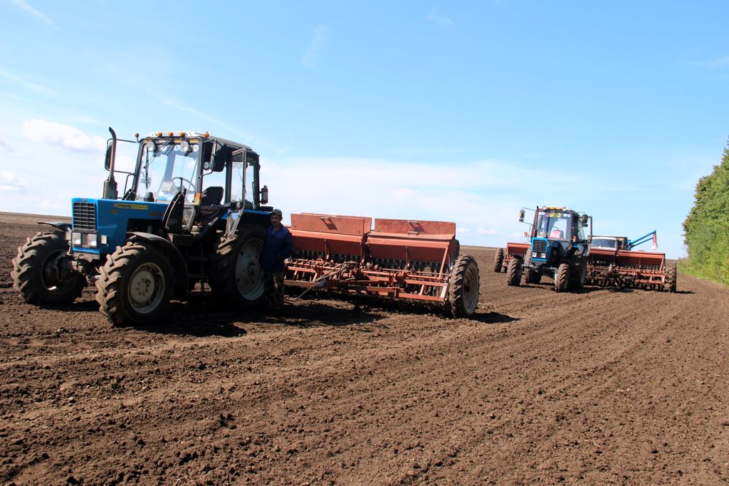 В Токмакском муниципальном округе продолжается сев озимых культур и уборка подсолнечника