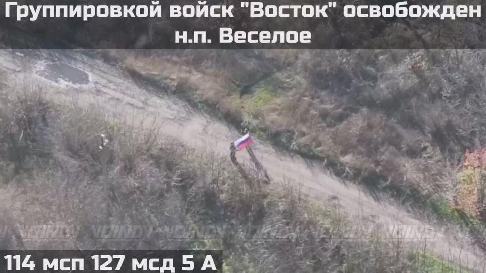 Подразделениями группировки войск «Восток» освобожден населенный пункт Весёлое