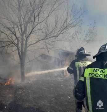 Оперативная информация за сутки