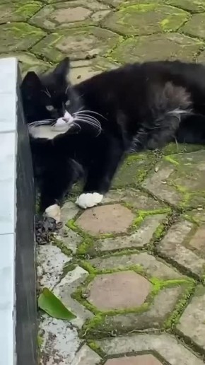 Уже четверг. Когда ты на работе, но мыслями уже в субботе и делаешь вид что работаешь