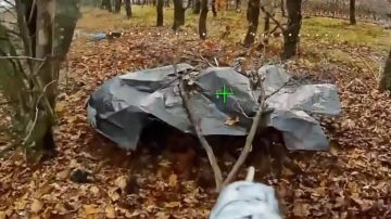 Операторы ударных БПЛА подразделения группировки войск «Восток» уничтожили пункт управления беспилотниками ВФУ в Запорожской области