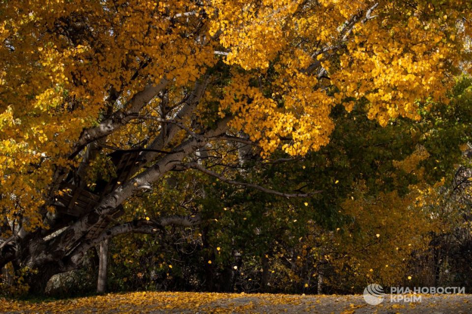 Погода на новых территориях России