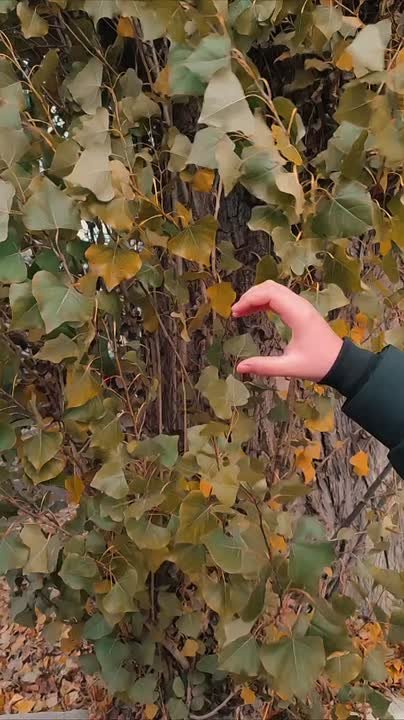 #совет_в_обед. Успейте передать показания вовремя - с 20 по 25 ноября