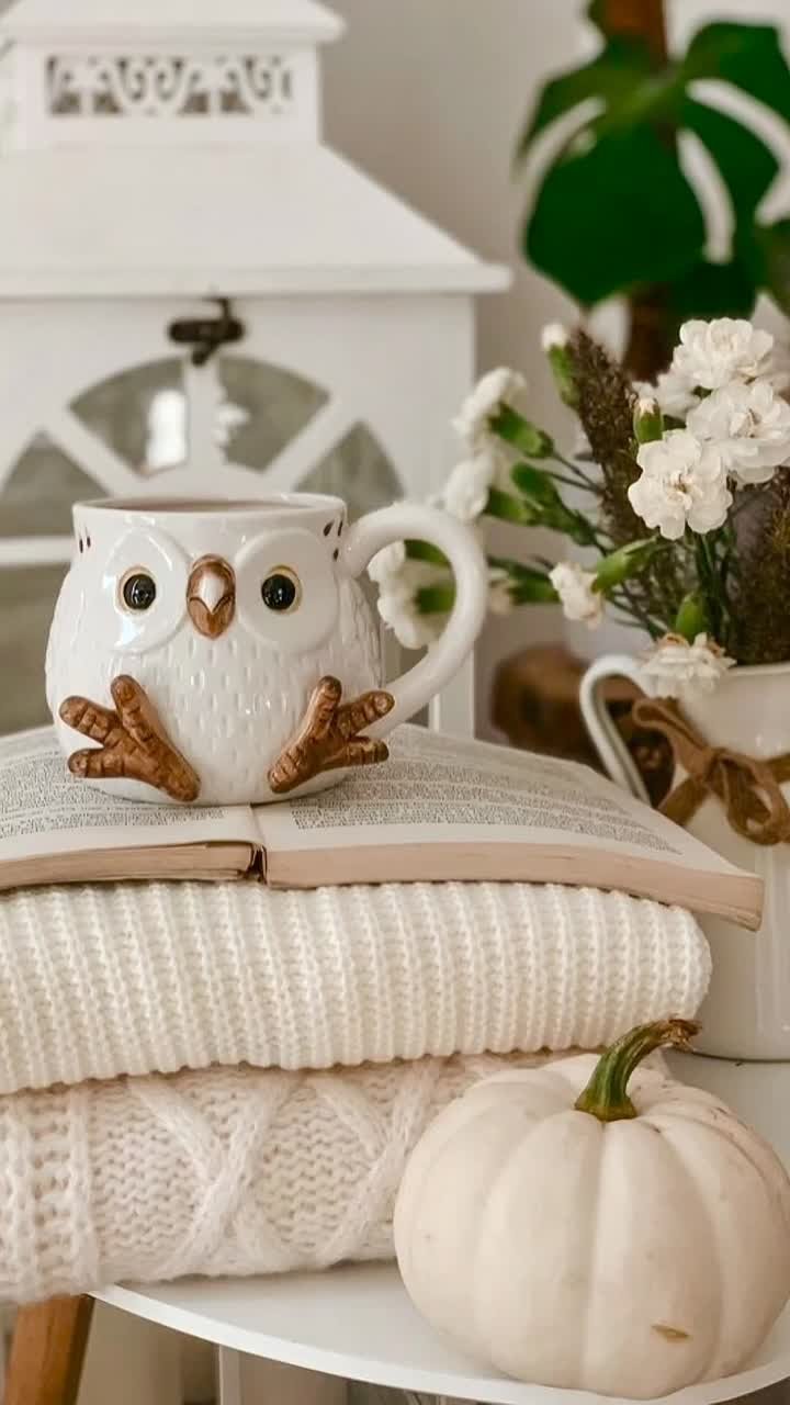 21 ноября 2025 года