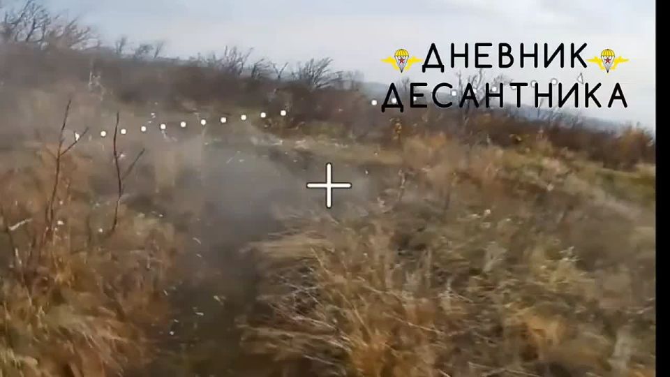 Запорожский фронт, Приморское