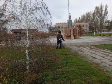 Покос и уборка территорий в селе Шелюги