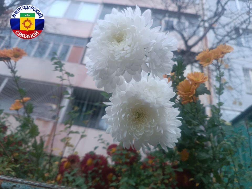 С добрым утром.. Уже начался новый день. Пусть он начнётся непременно с улыбки и будет очень плодотворным и удачным