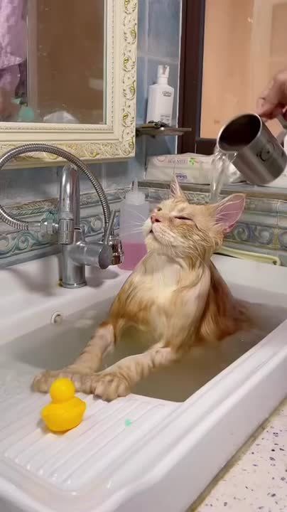 Ура, неделя закончилась. В вечер пятницы можно уделить время и для себя