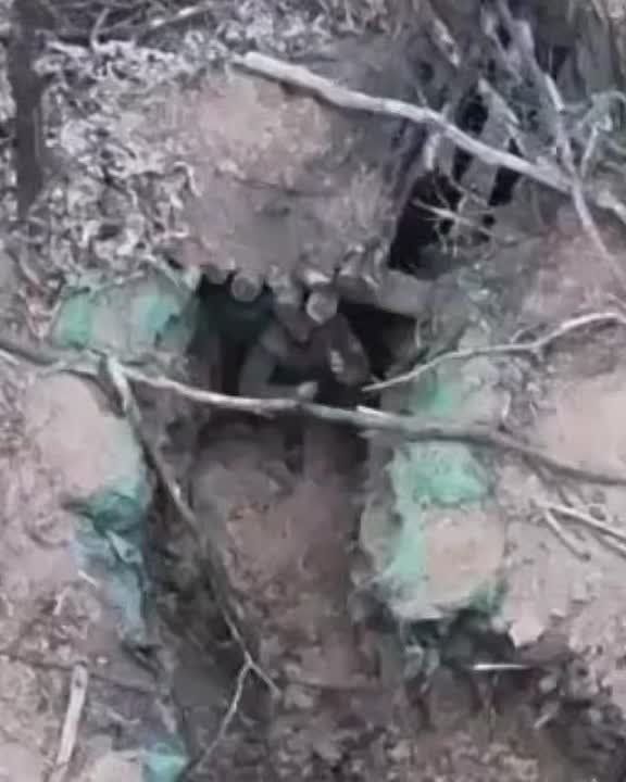 Даниил Безсонов: На Запорожском направлении оператор дрона ВС РФ пощадил ВСУшника и сопроводил его в плен