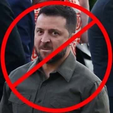 28 пунктов мирного плана или конец душегуба Зе