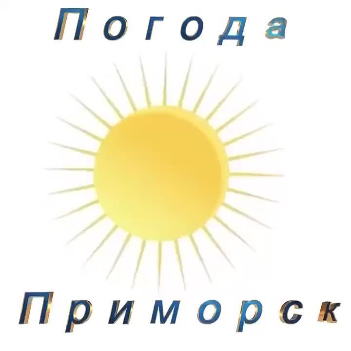 Погода Приморск (Приморский район), 21.11.2025