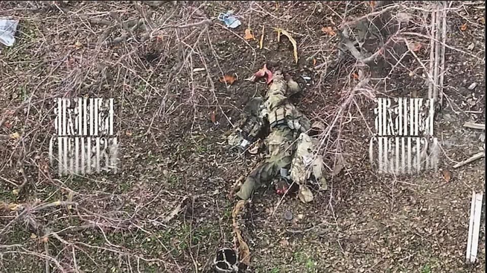 Как спецназ ГУР МО Украины сходил в контратаку на ореховском направлении в Запорожской области