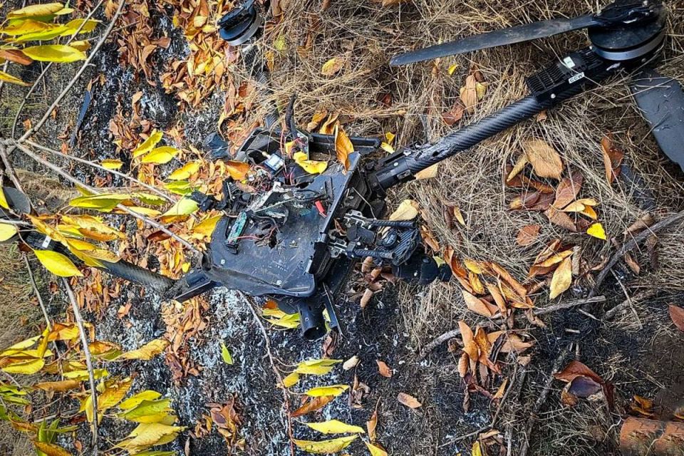 � ����������� ������� �������������� ����������������� ���������� ���������� ��������� ����������� �����-���