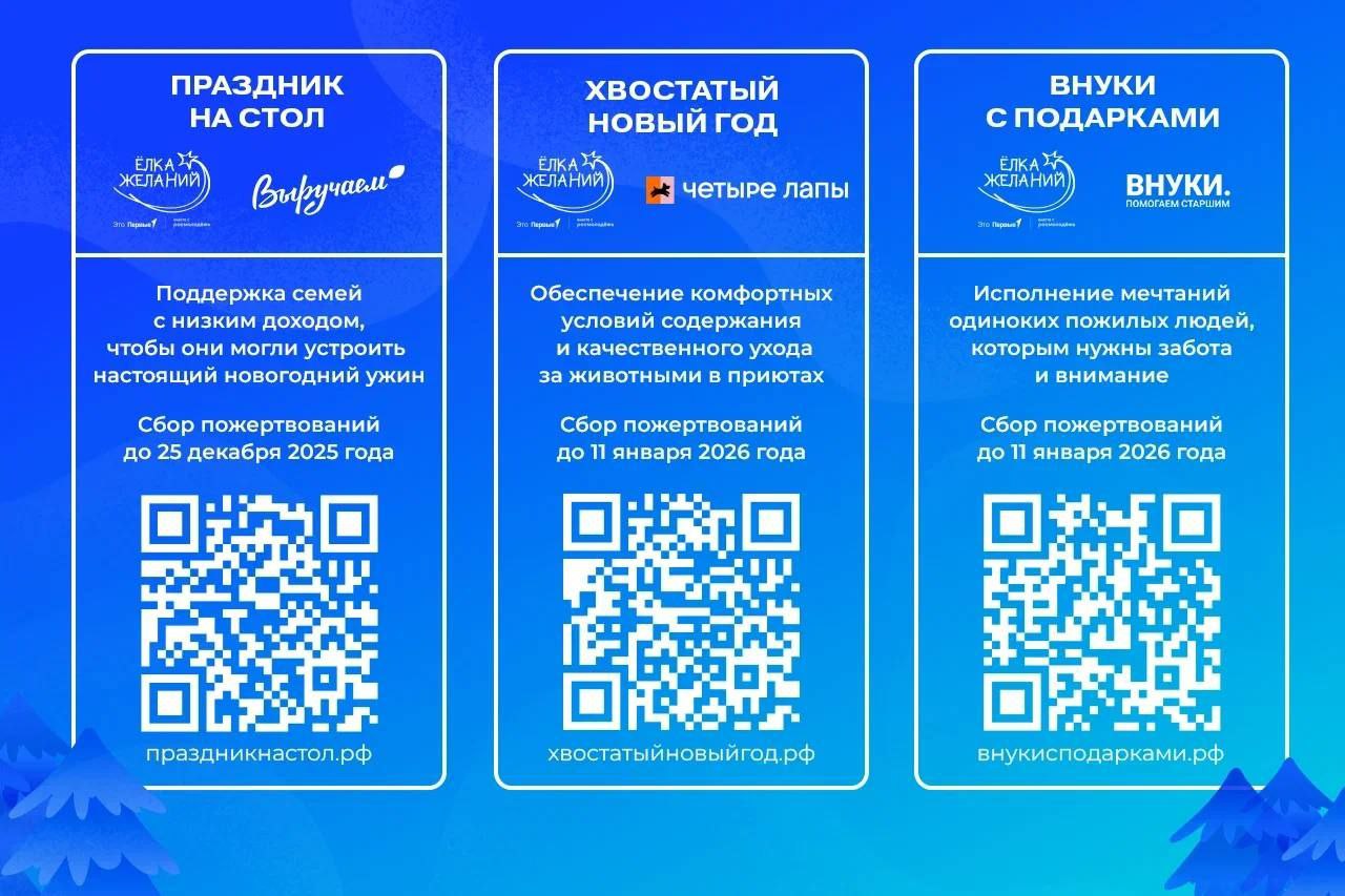 Три новых формата в рамках "Елки желаний" запущено в этом году Три новых формата в рамках "Елки желаний" запущено в этом году