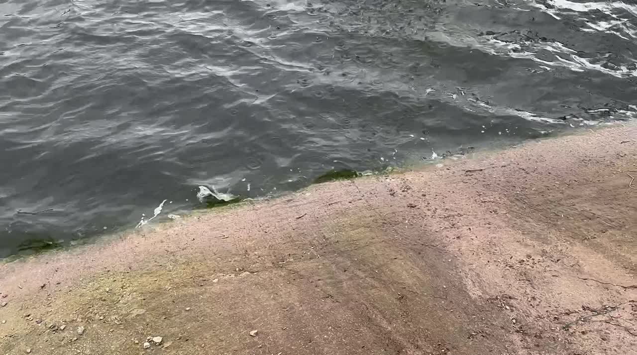 Школьники из Запорожской области познакомились с работой сельскохозяйственного предприятия