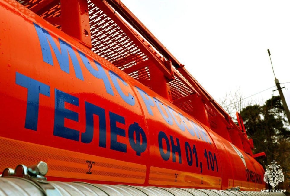 Оперативная информация за сутки