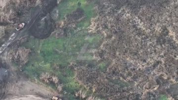 Уничтоженная техника ВСУ в окрестностях Стерногорска Запорожской области