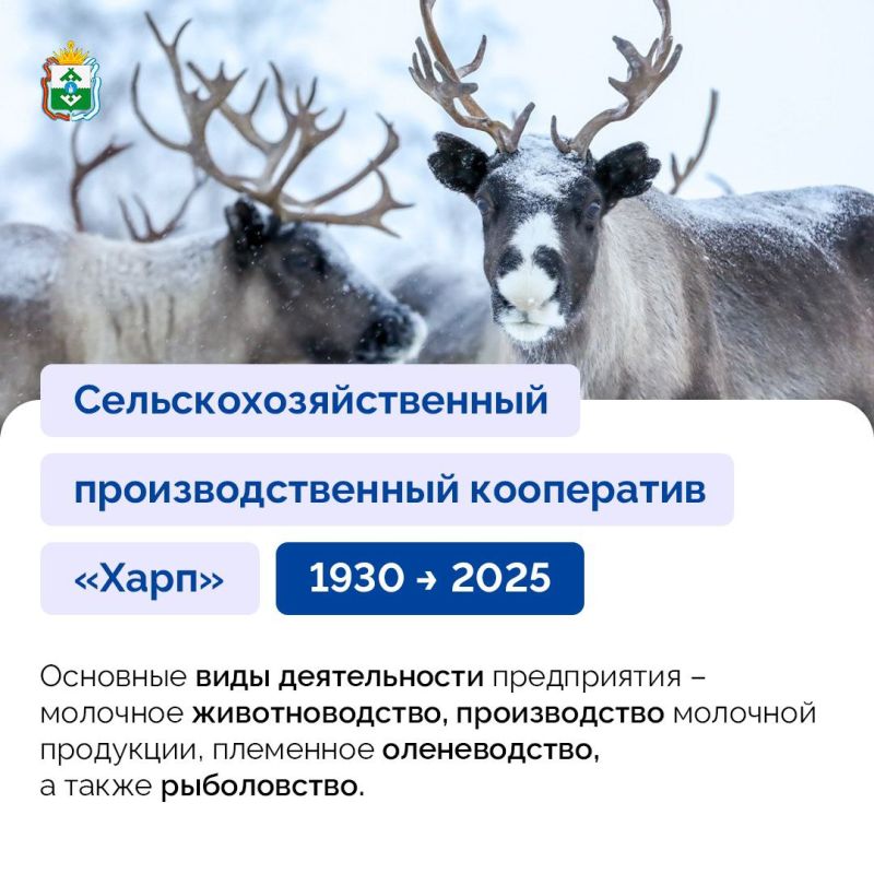 Ирина Гехт: СПК "Харп" - крепкое хозяйство, которое вот уже 95 лет снабжает жителей округа своей продукцией