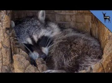 Доброй ночи, дорогие подписчики! Доброй ночи, Запорожье!