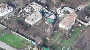  :    ,  36-   ,    29-      "",      ...