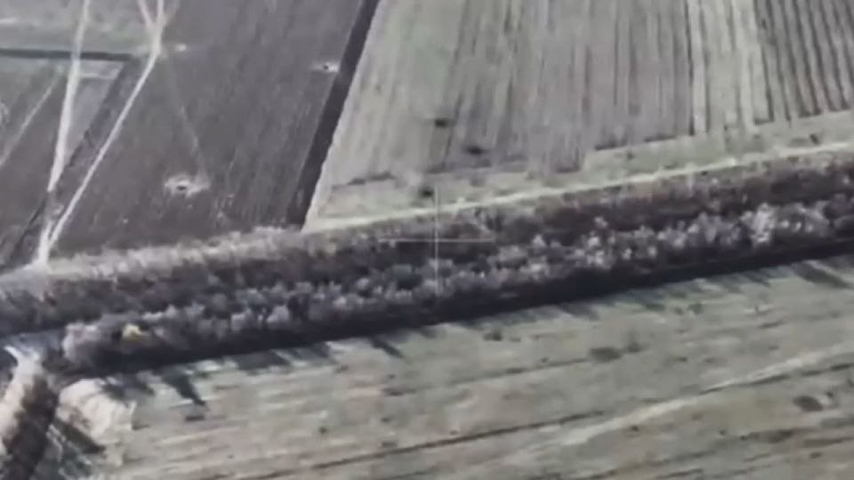 Сергей Зенин: Подразделения группировки войск «Восток» освободили населённый пункт Новое Запорожье в Запорожской области