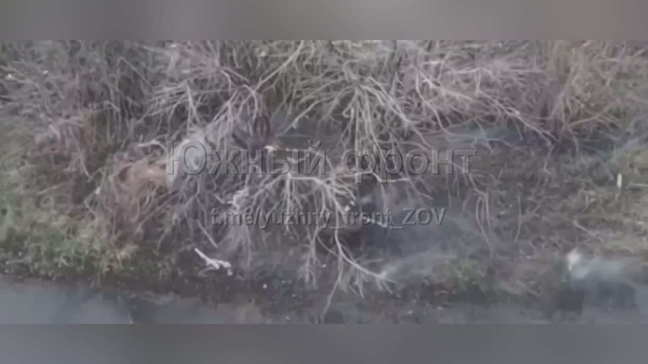 Дроновод 3 общевойсковой армии группировки войск "Южная" уничтожил НРТК противника