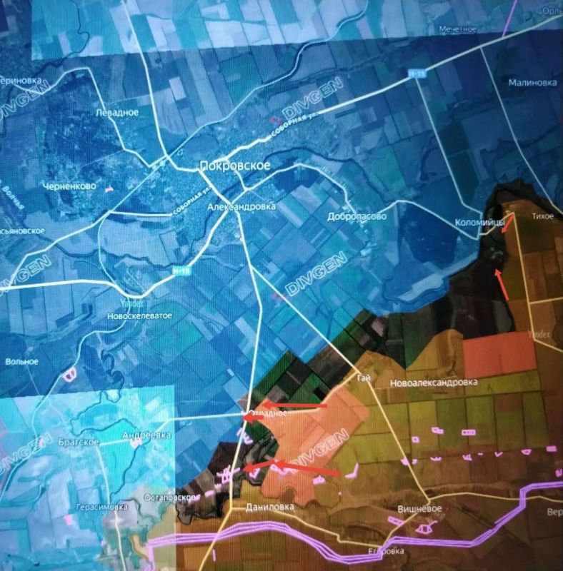 ���� �������: ����������� ����������� (������ �����)