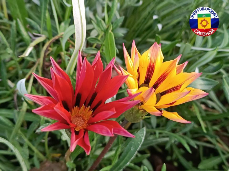 Воскресенье – день чудес и позитива!