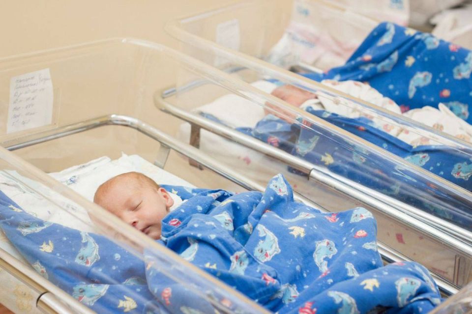 В Запорожской области родились семь детей за сутки