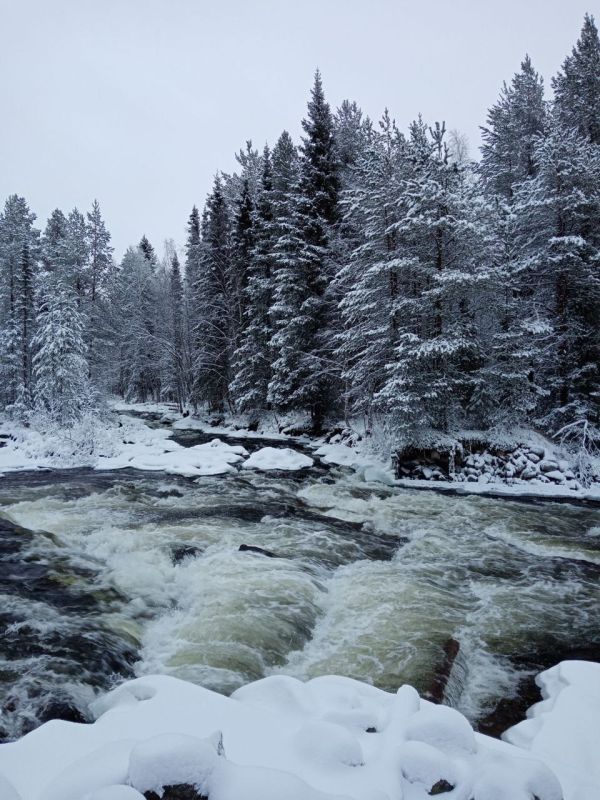 Максим Пухов: р. Колвица, Мурманская область