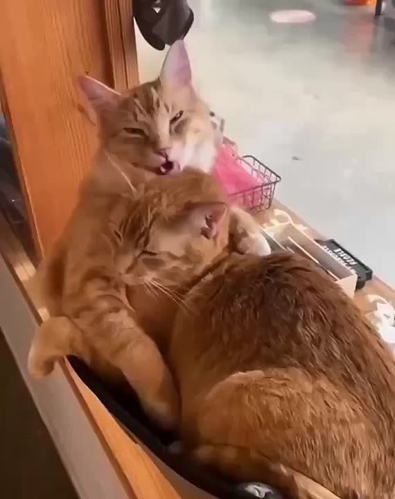 Вот и пролетели выходные. Сегодня пораньше ложимся, завтра на работу