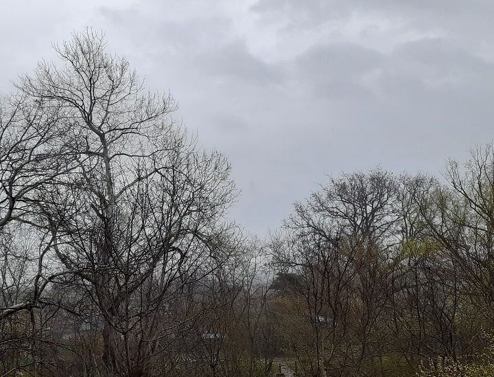 В Запорожской области ожидается облачная погода с дождем и туманами