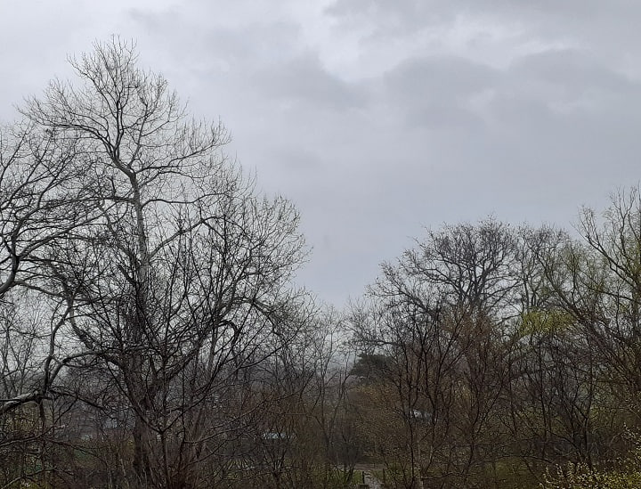 В Запорожской области ожидается облачная погода с дождем и туманами