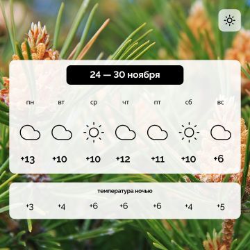 Погода в Запорожской области на 24 — 30 ноября
