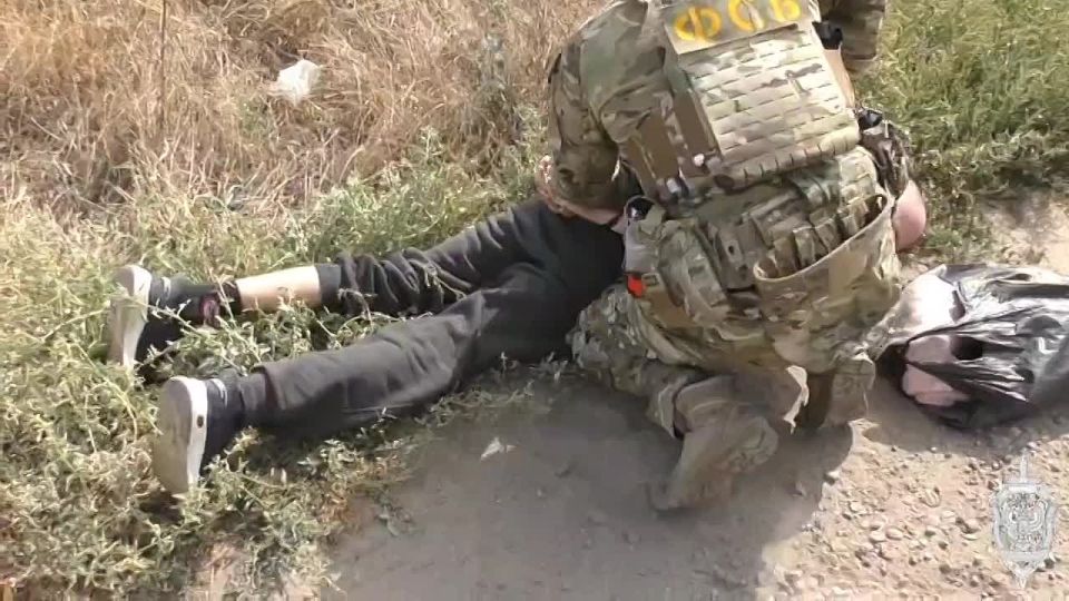 Агроном из Запорожья отправится на 16 лет в колонию за госизмену