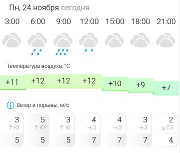 ПРОГНОЗ ПОГОДЫ. В понедельник, 24 ноября в Энергодаре пасмурно, дождь
