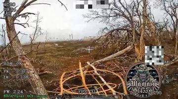 Операторы дронов подразделения "Шаман" 1455 полка ведут постоянную охоту на врага в районе нп.Орехов