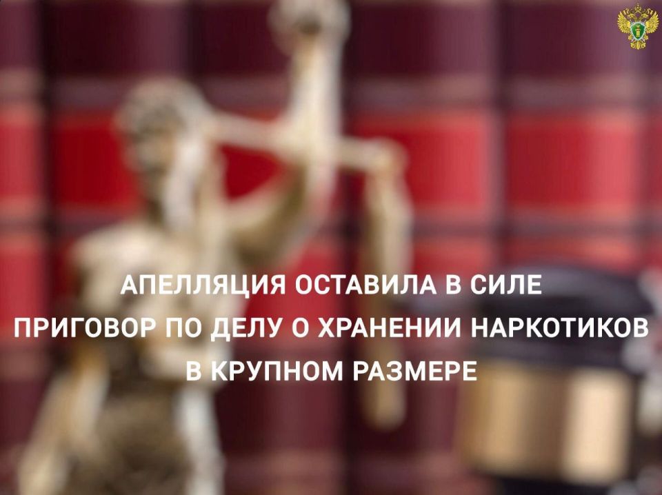 Апелляция оставила в силе приговор по делу о хранении наркотиков в крупном размере