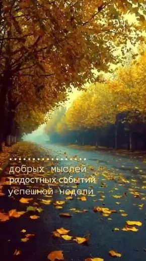 Начало рабочей недели. Граждане Пологовского муниципального округа! Вот и наступил новый рабочий понедельник!