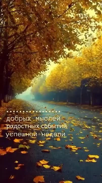 Начало рабочей недели. Граждане Пологовского муниципального округа! Вот и наступил новый рабочий понедельник!